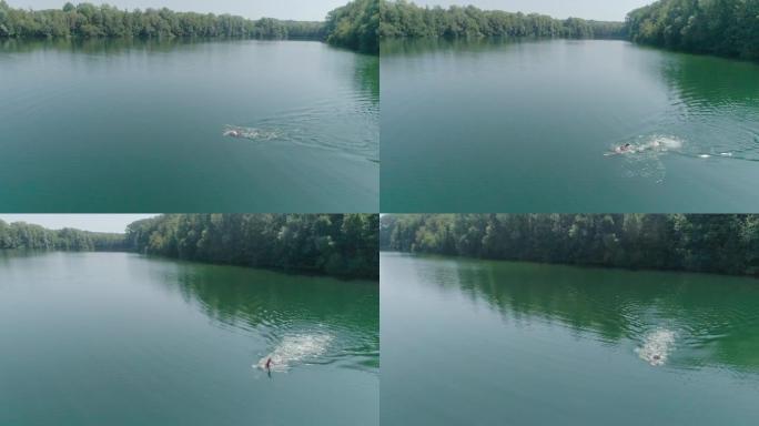 铁人铁人三项运动员男子训练的空中射击。男子在铁人三项比赛的湖泊训练中游泳的无人机射击。健康的生活方式