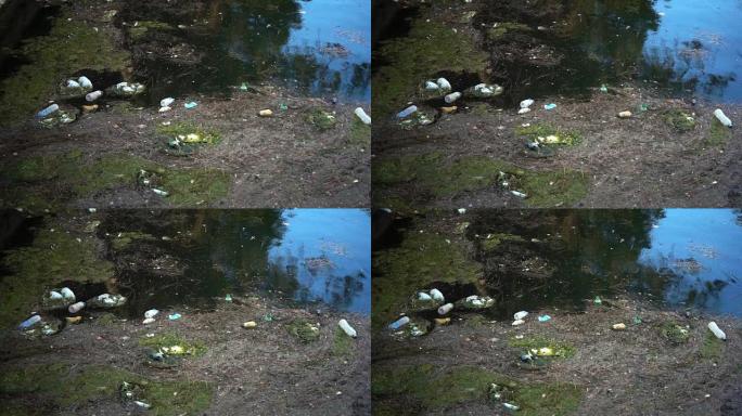 漂浮在水面上的垃圾和垃圾