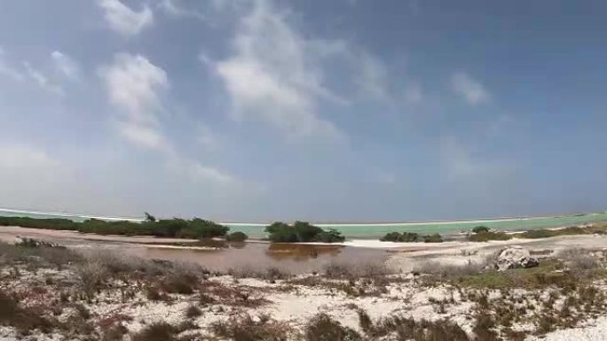 博内尔岛上的盐开采