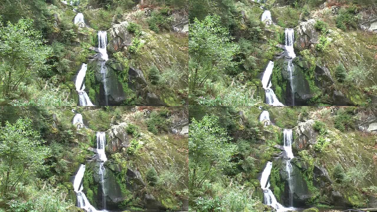 黑森林中的特里贝格瀑布