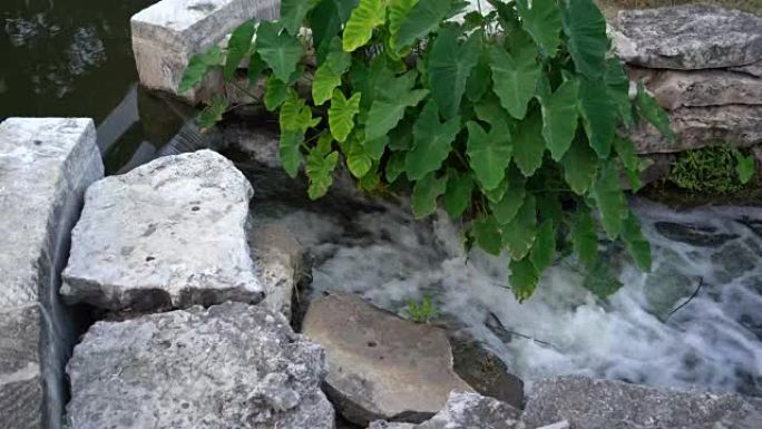 水流过石渠