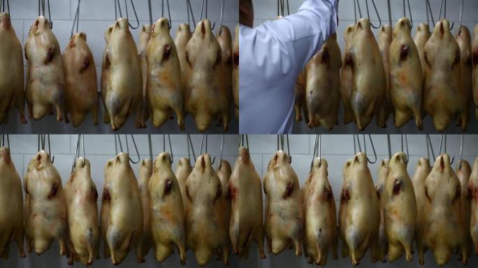 厨师吃北京烤鸭