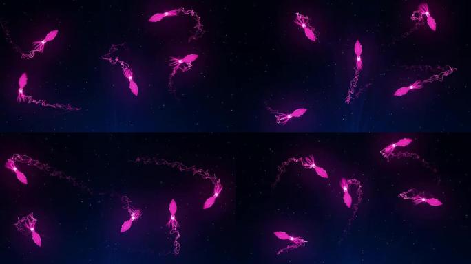 鱿鱼在水下用彩光照明，CG动画，循环