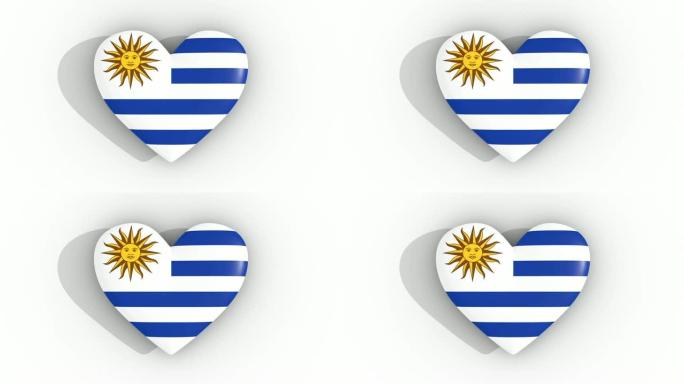 乌拉圭国旗颜色的脉动心，白色背景，3d渲染顶部，循环