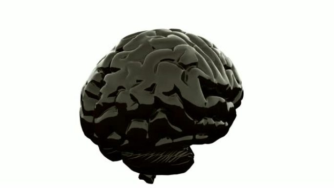白色背景上的黑色大脑。阿尔法通道。3D渲染