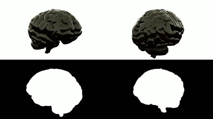 白色背景上的黑色大脑。阿尔法通道。3D渲染