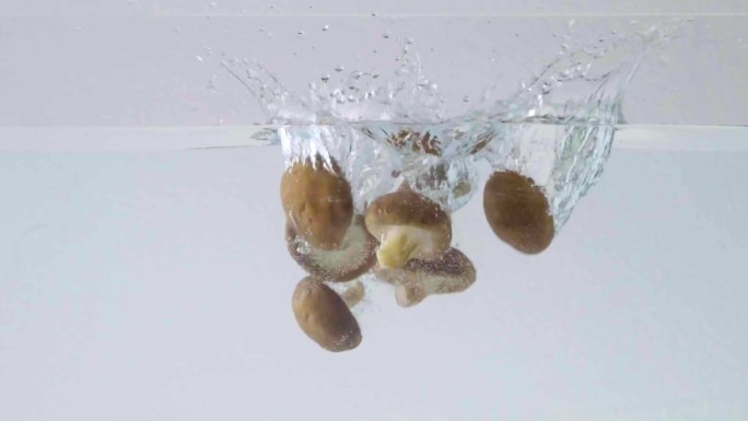 香菇掉入水中