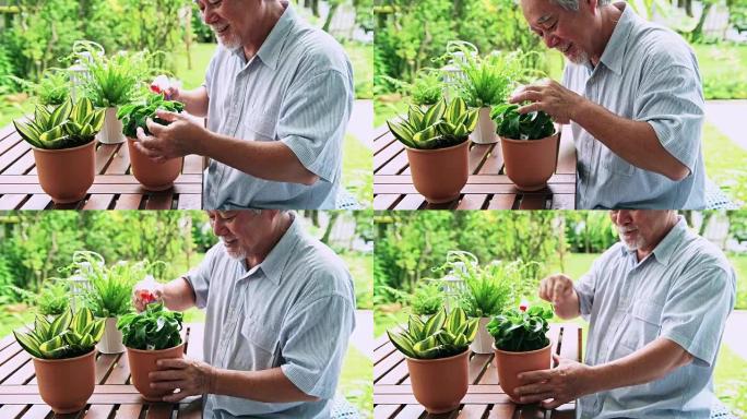 高级男子在木桌上给花园里的植物浇水。亚洲资深男子在餐桌上浇灌植物。高级生活方式家庭概念。