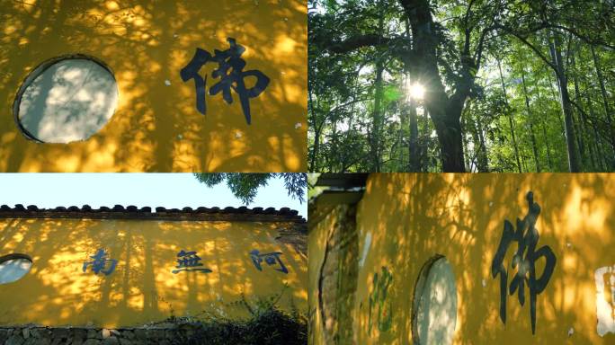 黄墙上的树叶光影