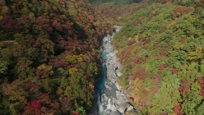 日本to木日光龙京谷和秋叶的鸟瞰图