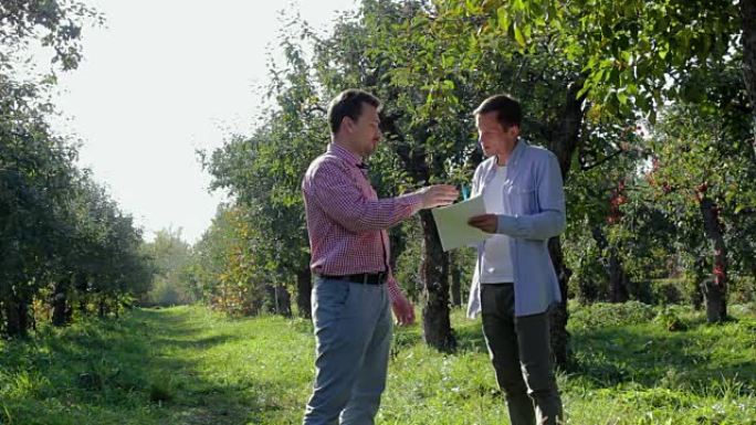 两农民在苹果园缔结协议
