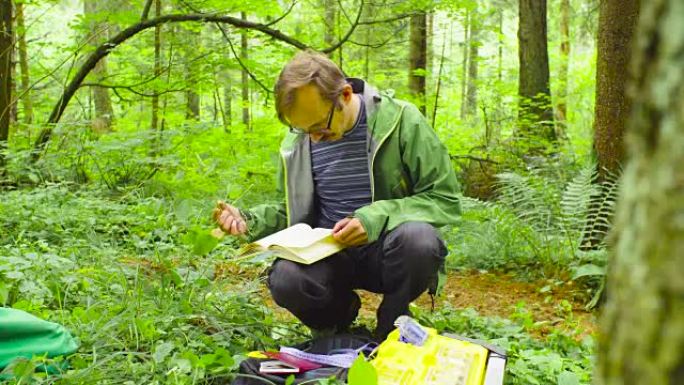 森林中的生态学家检查植物