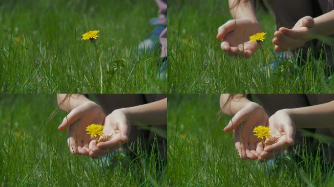 这孩子手里拿着一朵活花。
