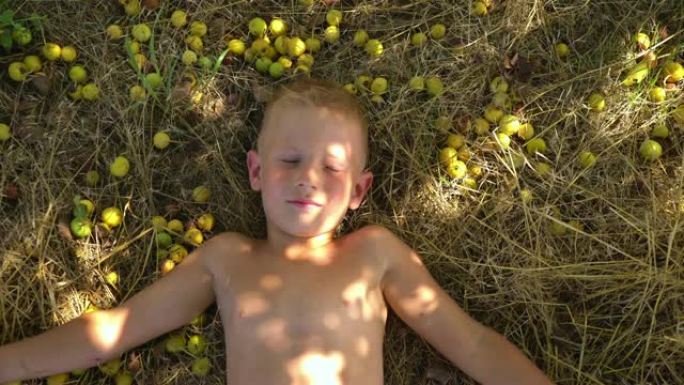 一个小男孩躺在小苹果间的大树下。不可阻挡的孩子们的笑声