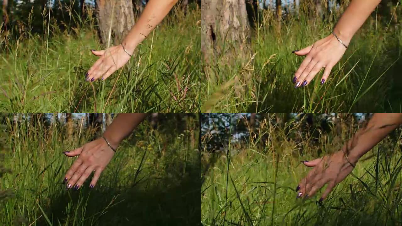 雌性手掌抚摸着绿草，细节。手与紫色修指甲