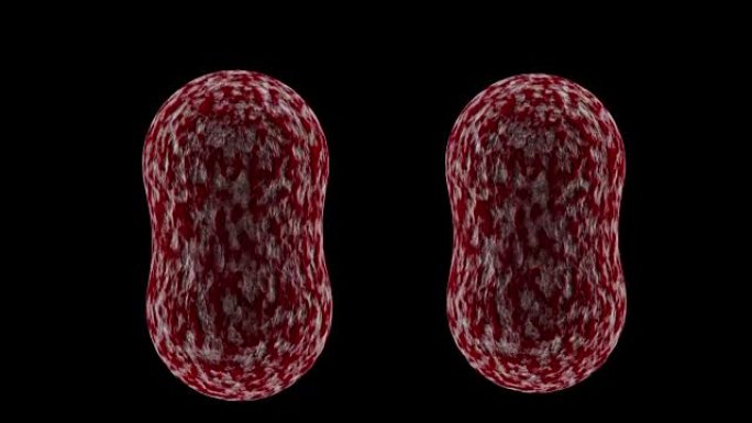 4k癌细胞分裂细胞增殖，细胞有丝分裂，细胞分裂，肿瘤学研究概念3D
