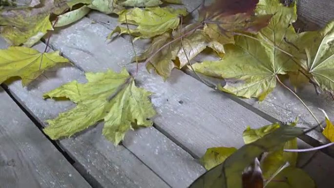 风从木地板上吹下枫树的秋天落叶。慢动作