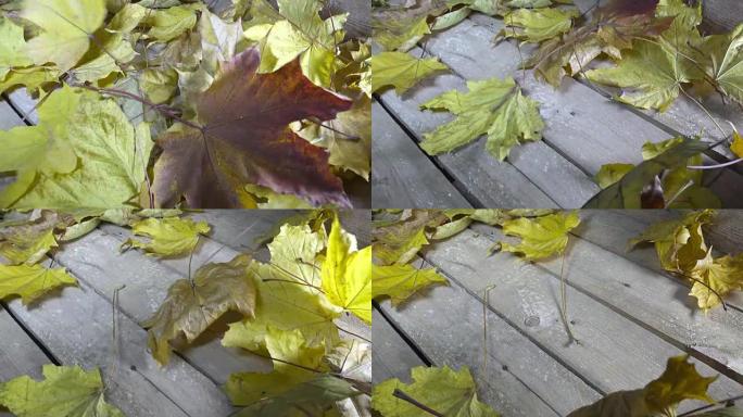 风从木地板上吹下枫树的秋天落叶。慢动作