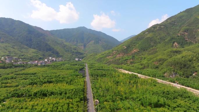 浙江天目山大峡谷