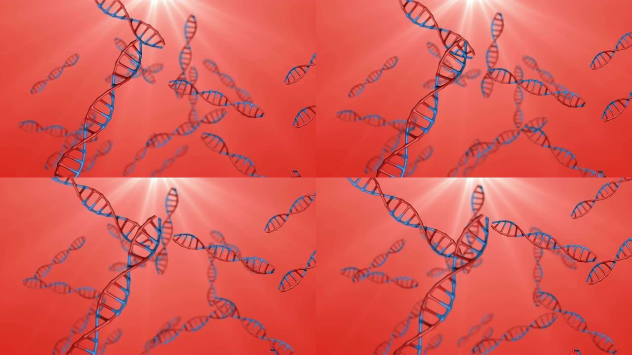 DNA序列: 两种DNA结合