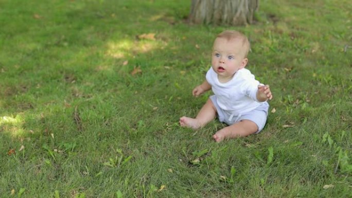 夏天在公园里的一个新生婴儿的肖像，他坐在绿色的草地上
