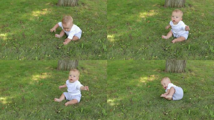 夏天在公园里的一个新生婴儿的肖像，他坐在绿色的草地上