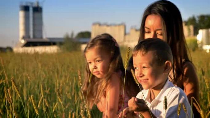 带孩子的亚洲妈妈夏天在田间散步，坐在小麦里，家庭观念