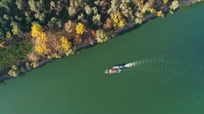 工业小船飘入多瑙河，海岸秋色彩树