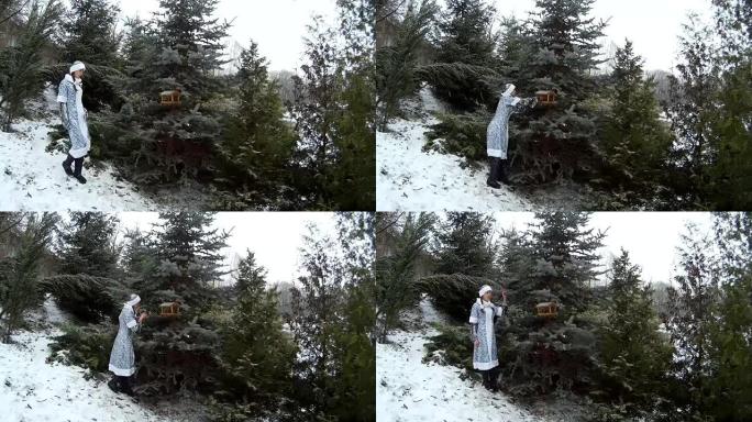 森林中的雪女在坚固的树上为鸟类提供饲料