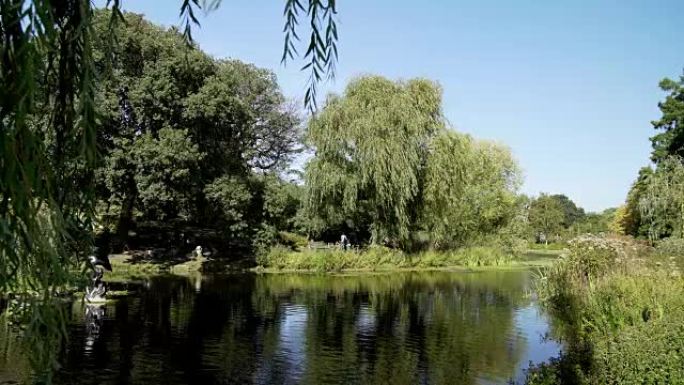 伦敦摄政公园玛丽皇后花园部分的池塘