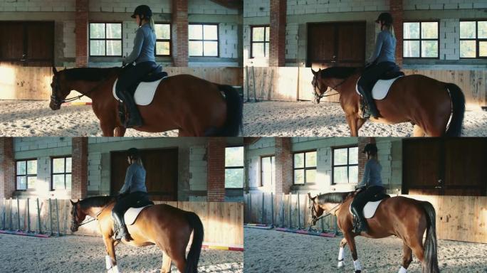 年轻女子坐在马背上，骑在有盖的桑迪竞技场上练习