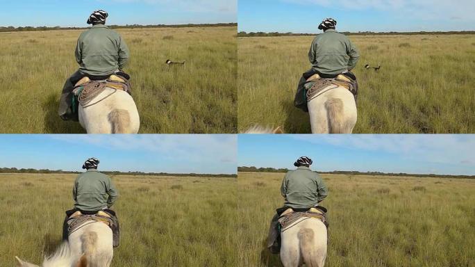 gaucho argentino骑马在野外慢动作