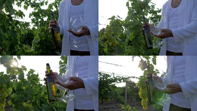 酿酒厂，将酒精饮料和玻璃杯装到农民手中，在阳光下的种植园中种植成熟的葡萄背景