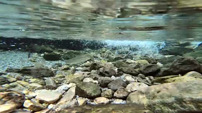 有石头和鱼的清山溪，鲈形目，饮用水质量，水下，阿尔卑斯山，上巴伐利亚，4k