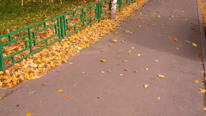 风吹落秋天城市人行道上的落叶。树叶落下慢动作