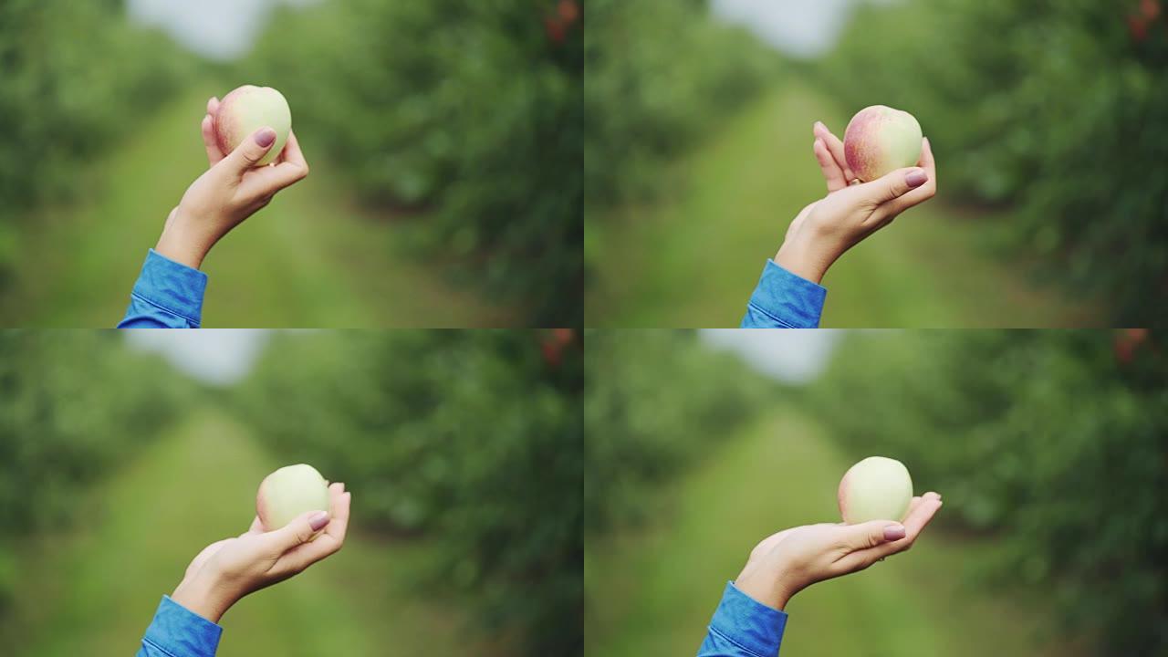 女人手里拿着青苹果。