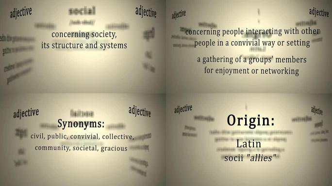 定义: 社会
