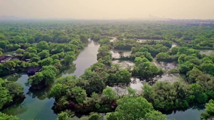 杭州 西溪湿地