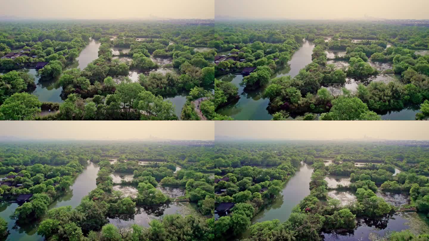 杭州 西溪湿地
