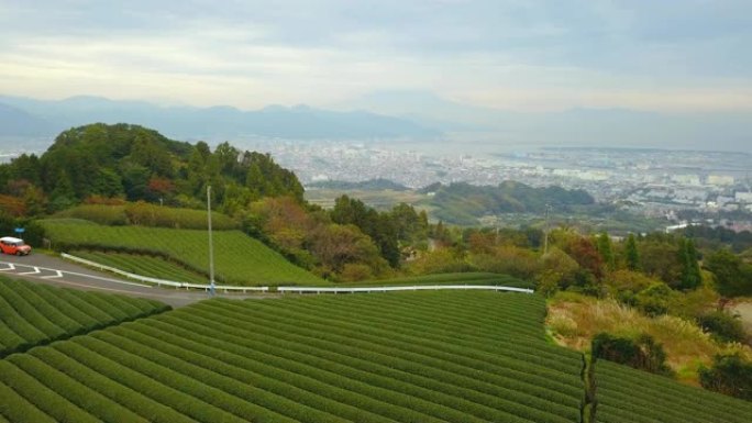 秋季静冈稻田的鸟瞰图。日本丘陵上的绿色农村地区或乡村土地。自然景观背景