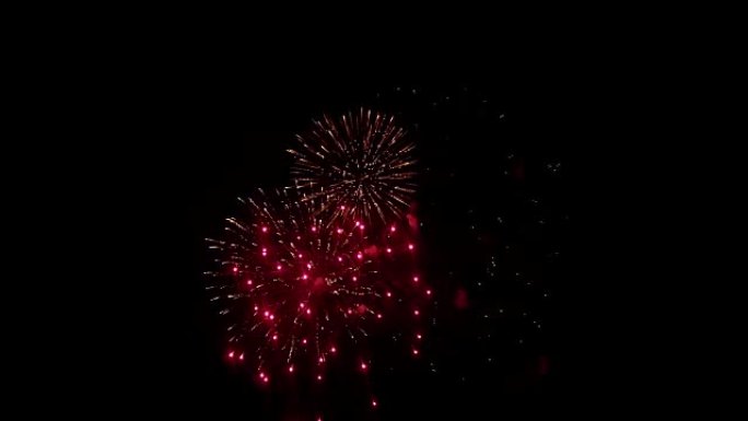 庆祝表演。夜空背景下的烟花。红色和紫色闪烁，美丽的火焰。两个烟花爆炸的激动人心的事件