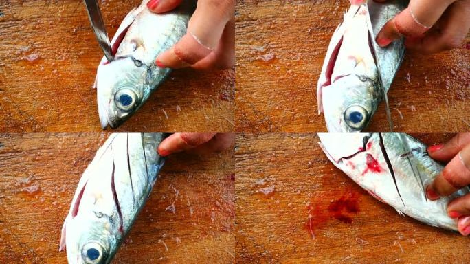 解剖鱼准备吃鱼