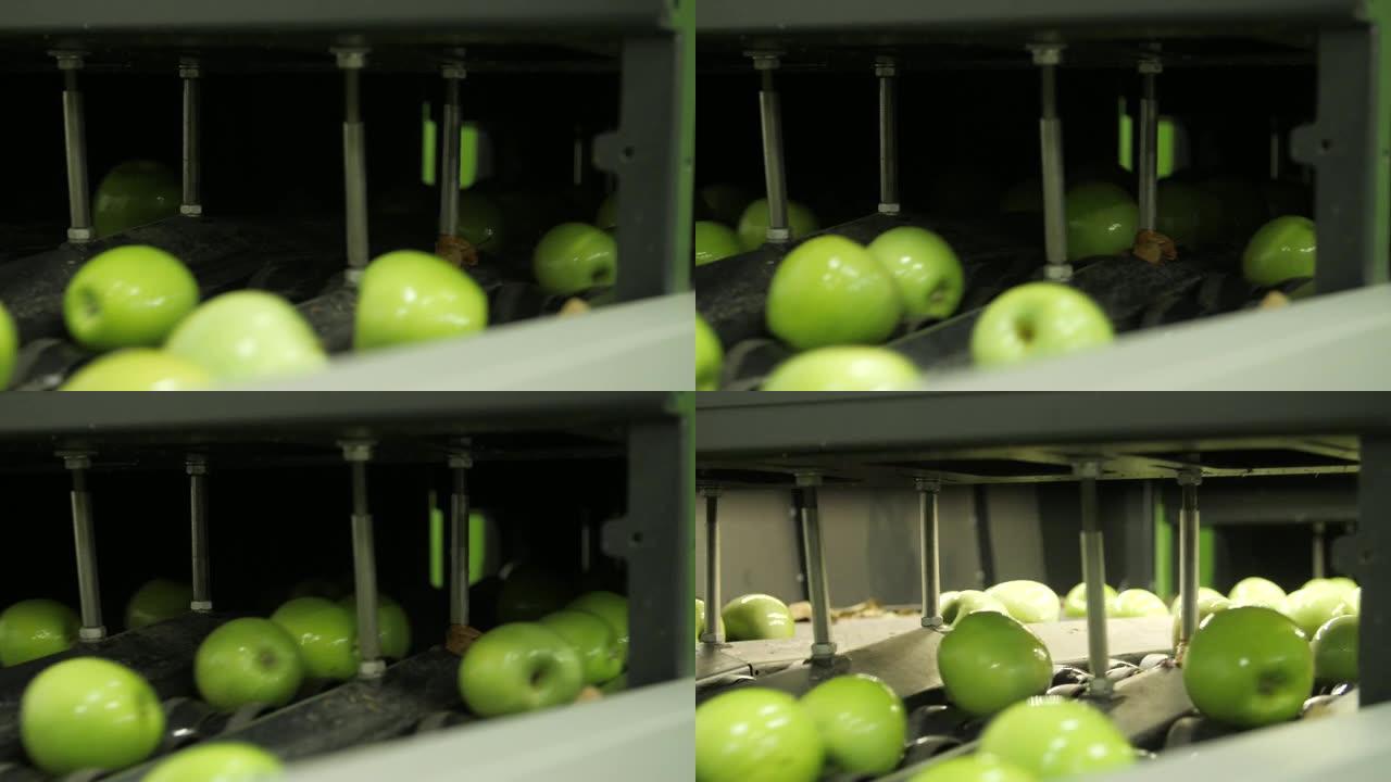 苹果工厂流程