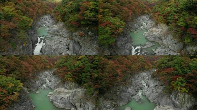 日本to木日光龙京谷和秋叶的鸟瞰图