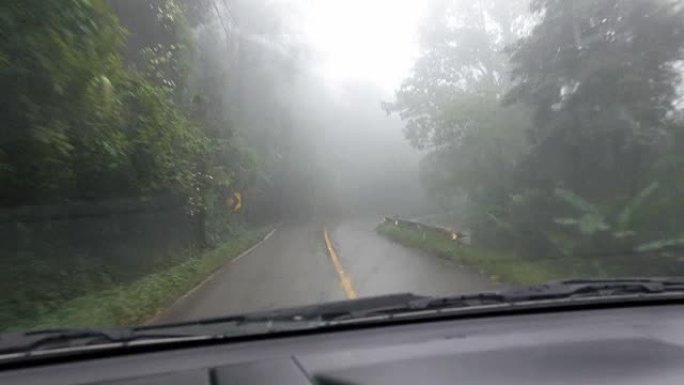 在潮湿的道路上穿越绿色森林