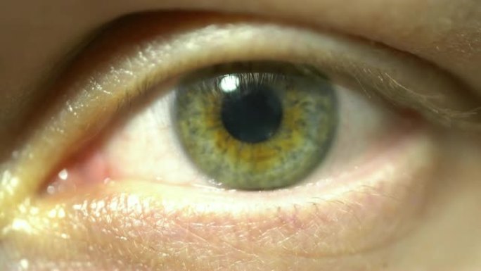 绿眼极端特写虹膜和瞳孔扩张和收缩。非常精细的细节，根据真实的人眼结构建模，解剖结构