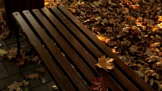 日落时枫叶落在长凳上