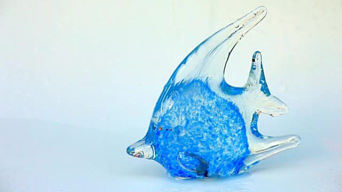 蓝色玻璃鱼淡水滴