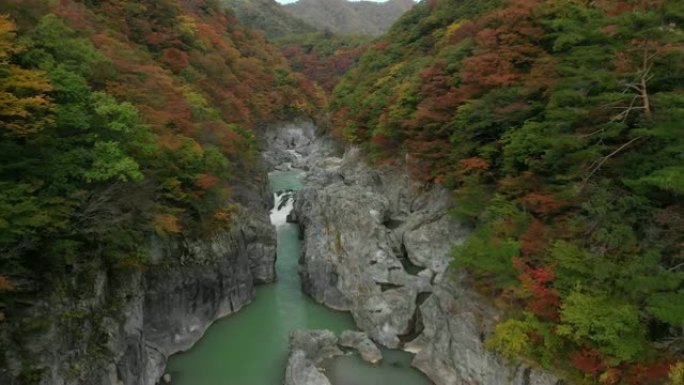 日本to木日光龙京谷和秋叶的鸟瞰图