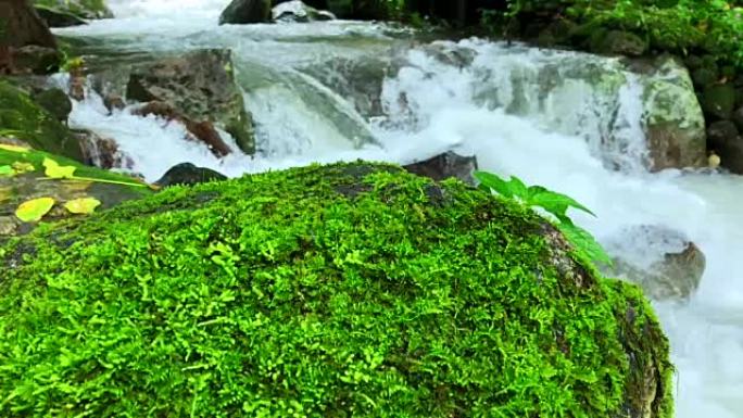 泰国雨林中的慢动作森林水流在岩石上奔跑